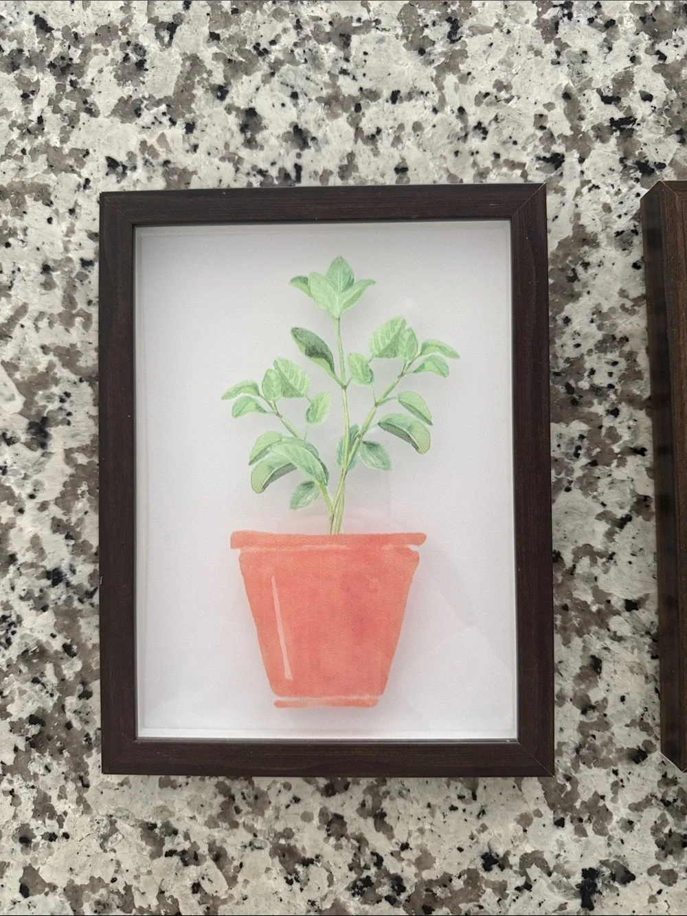 Set of 2 Framed Potted Plant Watercolor Prints - Coral Pots, Green Foliage
